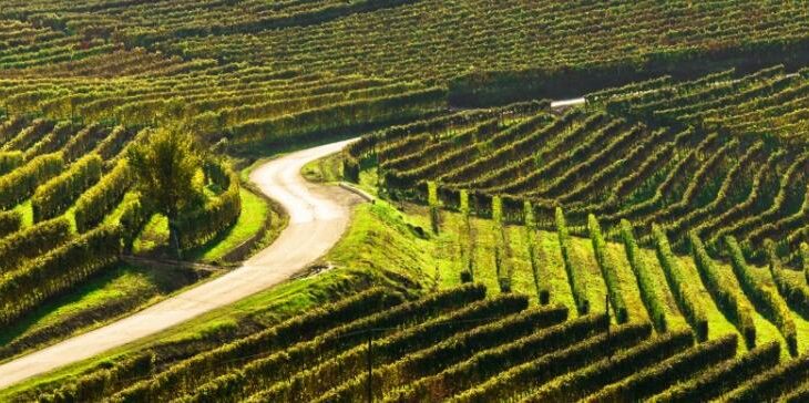 colline
